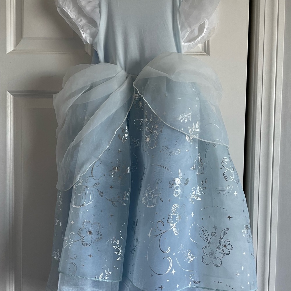 Authentic DISNEY CINDERELLA DRESS & SHOES - Picture 6 of 11